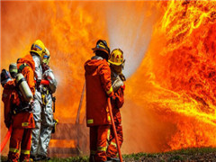 紫薇·西棠项目地块二一期及地块三一期消防工程招标公告