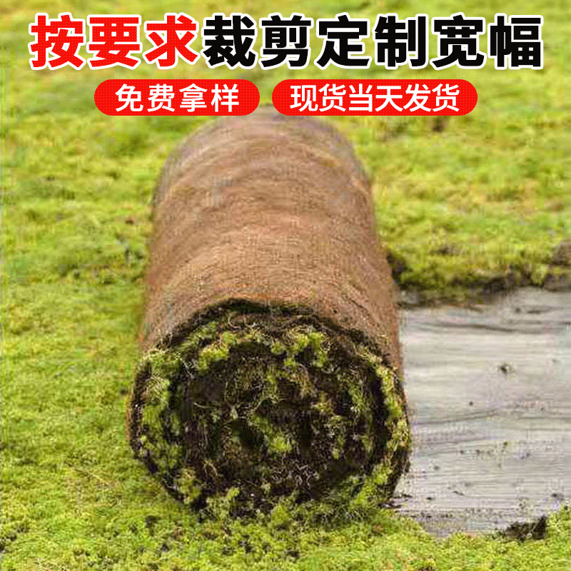 公路护坡绿化草毯椰丝毯 边坡护岸固土植物纤维毯 生态绿化植生毯价格面议