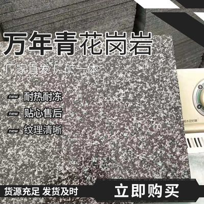 现货万年青花岗岩路面石芝麻黑荔枝面外墙石材室内外地铺板墙面石