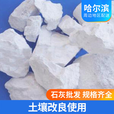 黑龙江工厂块状生石灰农业种植用氧化钙农用块状生石灰批发