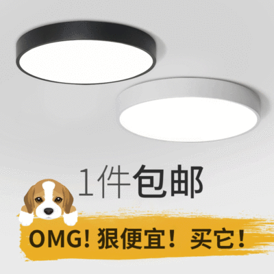 led吸顶灯 简约现代过道灯具客厅卧室灯黑白亚克力圆形卧室吸顶灯