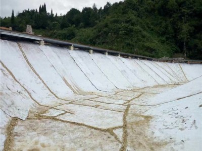 森泰 防水毯 钠基膨润土防水毯厂家 防水防潮防爆晒