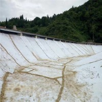 森泰 防水毯 钠基膨润土防水毯厂家 防水防潮防爆晒