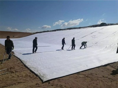 建通 膨润土防水毯  防水毯厂家 纳基膨润土防水毯图1