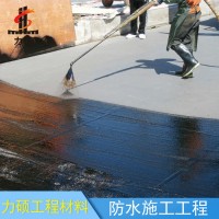 力硕 桥面防水补漏工程 承包桥面涂层防水施工 桥面防水喷涂施工 高性价比