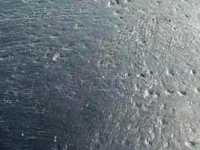 中德新亚防水涂料 反应型防水粘结剂图1