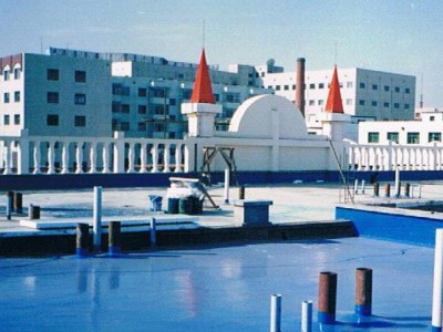 天津防水材料天大华盛化工聚氨酯防水防腐、灌浆堵漏防水材料图1