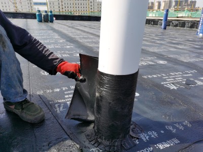 银珠蓝箭 SBS弹性体改性沥青防水卷材 sbs防水卷材 屋面防水 厂家直供