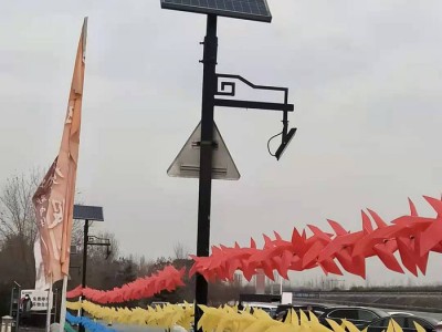 庭院灯户外 防水 中式庭院灯  可定做 欢迎咨询图1