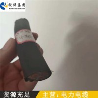 厂家供应铠装电缆 橡套电缆规格 防水橡套电缆