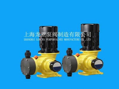 大量出售钛龙化学品添加泵  防水构造的隔膜计量泵