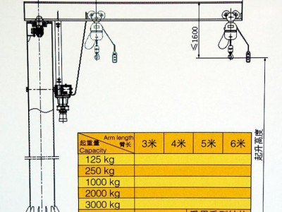 其他工程与建筑机械电动旋臂起重机