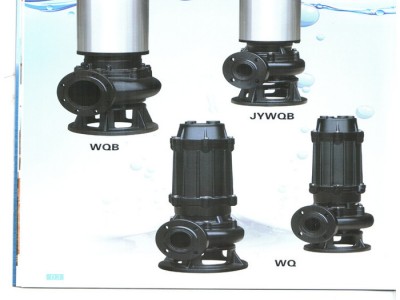 东坡200WQ 污水泵-大流量污水泵-立式污水泵-污水泵厂家
