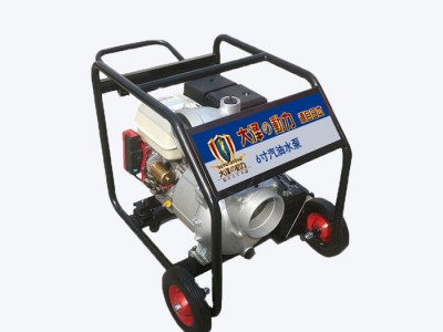 大泽动力小型6寸汽油水泵内燃式应急用水泵