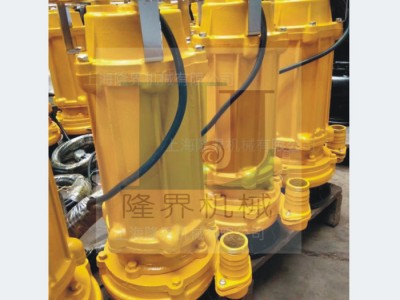 上海隆界机械 污水泵WQ 排污泵 淤泥清理 工程污水泵 工程排污泵欢迎咨询