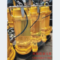 上海隆界机械 污水泵WQ 排污泵 淤泥清理 工程污水泵 工程排污泵欢迎咨询