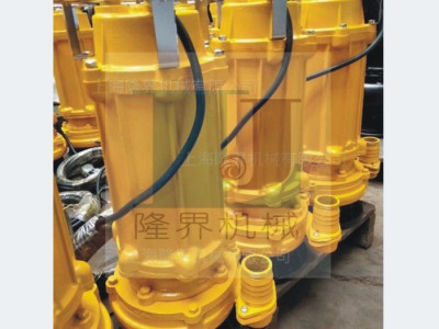 上海隆界机械 污水泵WQ 排污泵 淤泥清理 工程污水泵 欢迎咨询图1