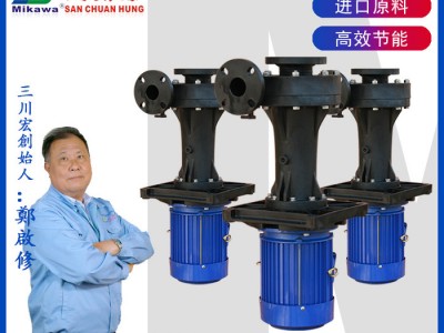 防腐蚀的水泵 三川宏水泵seg-6532 化工污水泵 可空转液下泵 防腐蚀喷淋塔泵 化学药水泵图1