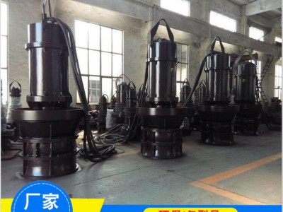 晟光350QZB潜水轴流泵立式QZ污水泵大流量水泵井筒式水泵图1