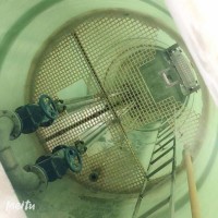 供水泵站供水泵站实体厂家 特仕诺 环保