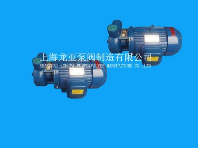 供应25W-25旋涡水泵 广州防爆水泵