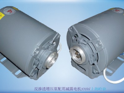 供应 纳特PR4AS-370W220V高压旋转叶片泵   厂家销售  欢迎咨询图1