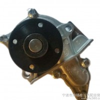 车用水泵 汽车散热用直流水泵  汽车循环泵 质量保证