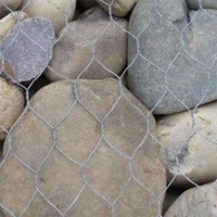天之鹰供应石笼网批发供应 石笼驳岸 石笼护坡施工方案 水泵防护网