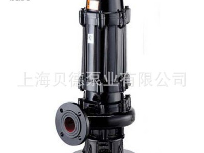 **潜污泵无堵塞化粪池污水泵小流量的污水泵移动式污水泵图1