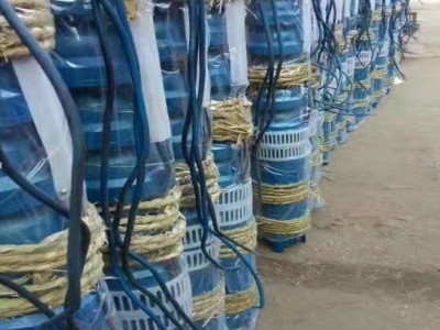 潜水泵 井用潜水泵图1
