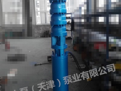 上泵泵业400QJ潜水泵图1