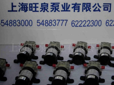 A上海旺泉MINI PUMP、微型水泵、小水泵图1