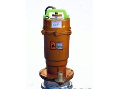 水泵潜水泵QDX 家用泵**