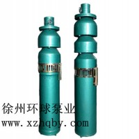 水泵 潜水泵  喷泉泵 250-8-7.5 **潜水泵 徐州环球泵业有限公司
