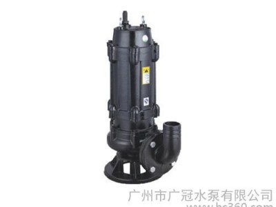 广州潜水泵--潜水泵厂家图1