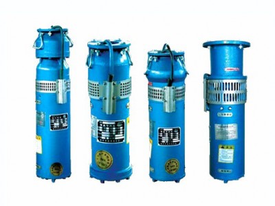 QSP喷泉专用潜水泵 多级潜水泵喷泉水泵计量泵矿用潜水电泵