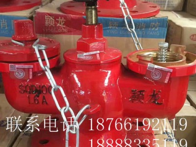 SQD150 水泵接合器 SQA水泵接合器 新式水泵接合器山东济南 颖龙图1