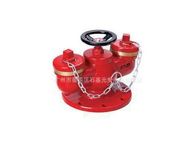 专业水泵接合器 地上多用式水泵接合器 微型水泵接合器图1