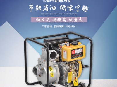 伊藤动力3寸柴油机水泵YT30DP报价