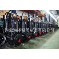 150WQ130-30-22污水污物潜水排污泵 杂质潜污泵排污泥提升水泵