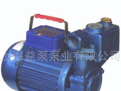 供应上海益泵出售小型自吸清水泵25ZDB-0.75图1