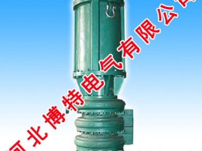 库存河北博特电气00内蒙古防爆水泵,防爆水泵厂家图1