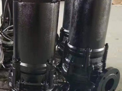 **铸铁污水泵65WQ25-10-1.5 国标排污泵全铜电机排水泵常规潜污泵无堵塞水泵图1