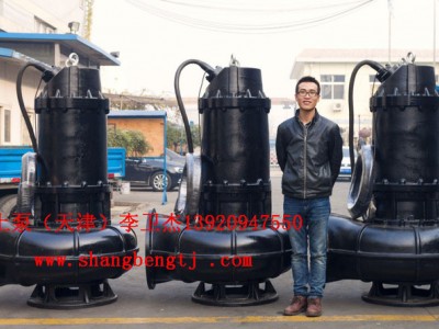 上泵（天津）WQ QW排污泵,防爆型污水泵，不锈钢污水泵型号齐全