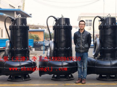 上泵（天津）WQ QW排污泵,防爆型污水泵，不锈钢污水泵型号齐全图1