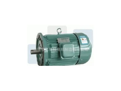零售水泵 工业水泵 泥浆泵专用电机0.55KW/45KW图1