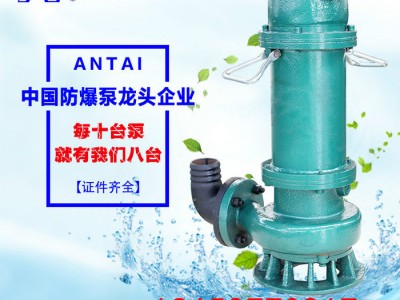 安立泰泵业 BQS00/-350/4-250排沙泵 山东矿用防爆潜水泵 **现货低价批发