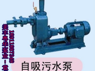 供应潇源自吸污水泵图1