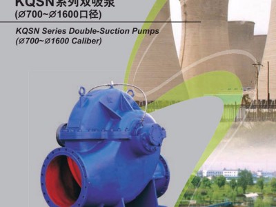 青海西宁灌溉污水双吸泵卧式清水离心泵大流量抽水机高压水泵 灌溉污水泵图1