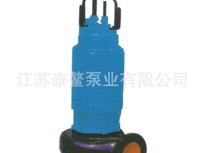 泰州污水泵 污水泵价格 污水泵型号 小型污水泵 排污泵价格图1